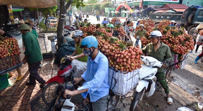Bac Giang wraps up 2020 lychee season with revenues of VND6.9 trillion