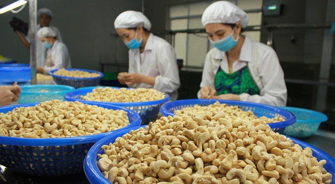 Vietnam needs concrete measures to boost cashew exports