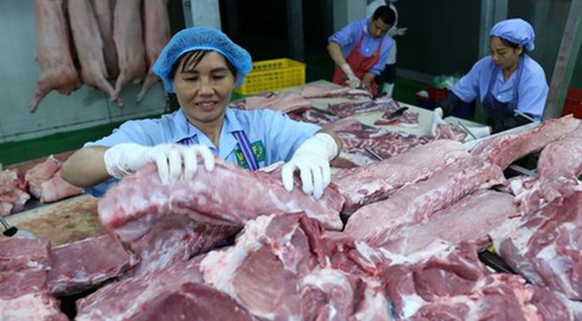 Pig imports push domestic pork prices down
