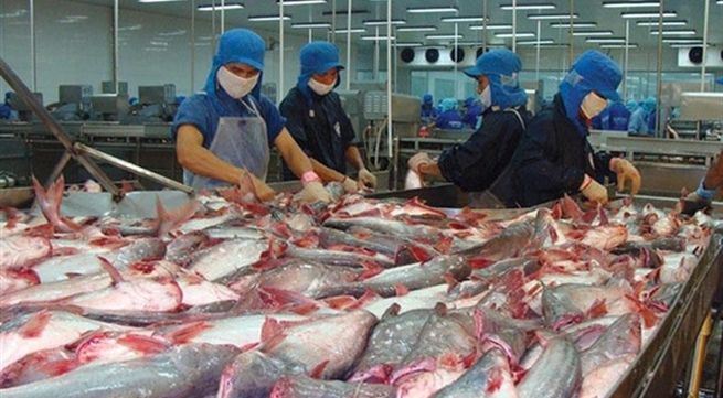 Seafood firm Vĩnh Hoàn to pay dividend in shares
