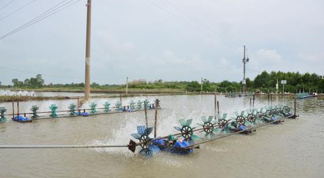 National programme helps Sóc Trăng sustainably exploit fisheries resources