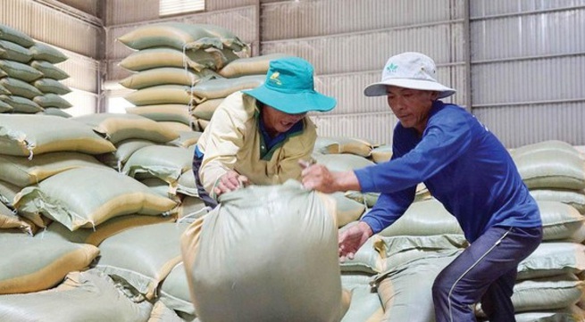 Vietnam rice exports to the Philippines reached over US$1 billion