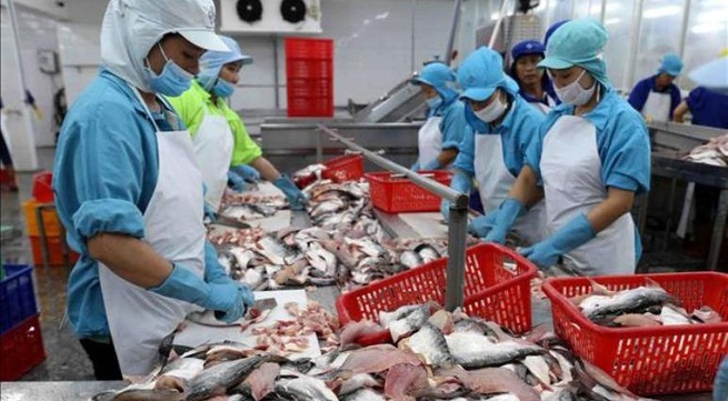Improving the quality of tra fish production and processing