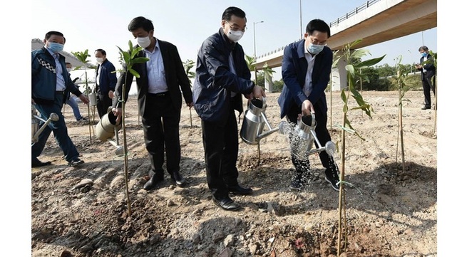 Hanoi launches tree-planting festival on New Year of Buffalo