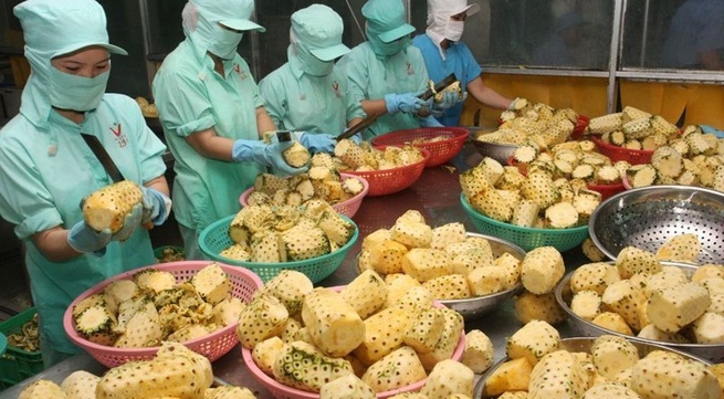 Vietnam’s farming exports up 19.7% in first quarter
