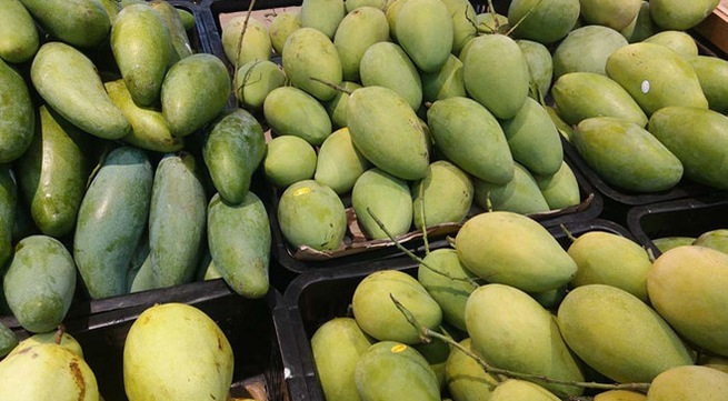Vietnam is world’s 13th largest mango producer