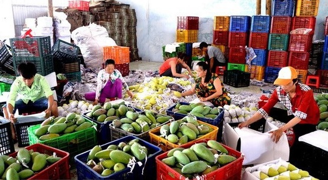 Improving status of Vietnamese agricultural products
