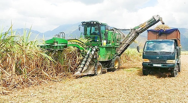 Vietnam imposes anti-dumping and anti-subsidy tariffs on Thailand's sugar