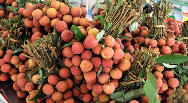 Bac Giang lychees to be exported to Japan