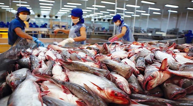 Seafood exports achieve impressive growth