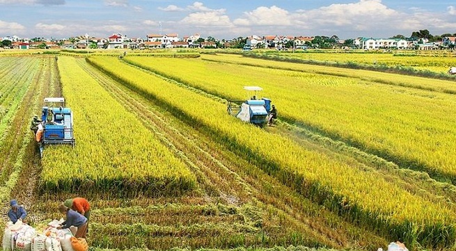 Vietnam’s unused land area at over 1.23 million: MONRE