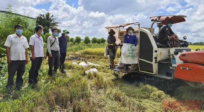 Thap Muoi rice harvesting aligned with pandemic prevention