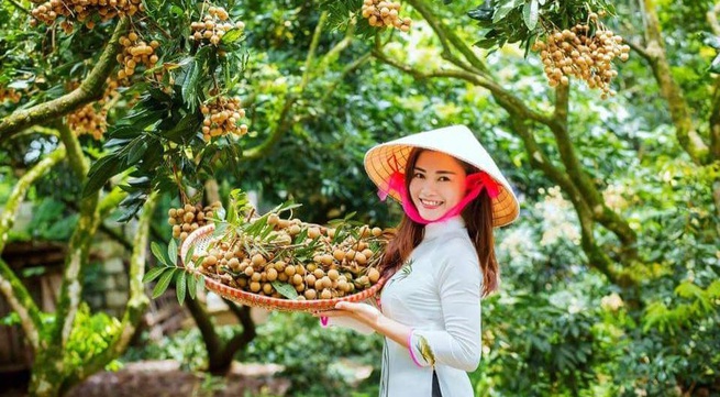 Vietnamese agricultural products favoured in choosy EU market
