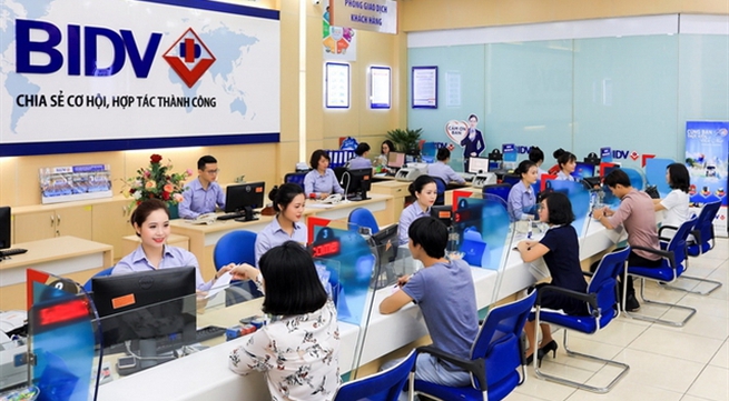 VN-Index witnesses largest one-day gain in 19 years