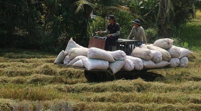 Rice output up 1.1 million tonnes in 2021