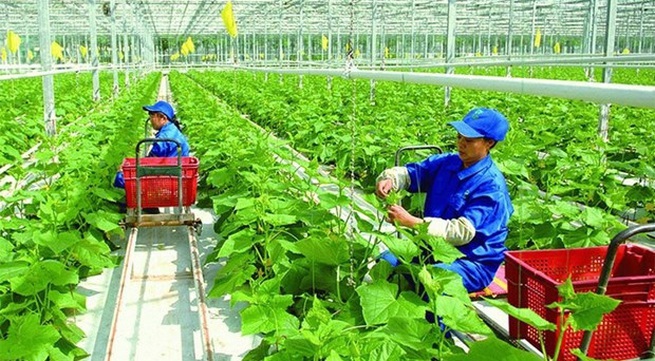Vietnam eyes green and sustainable agriculture