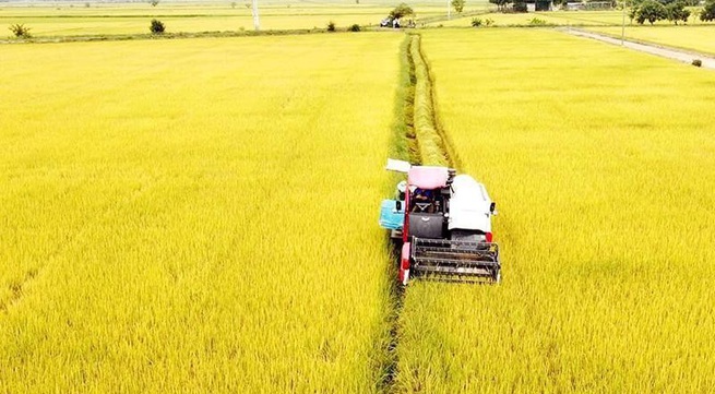 Central Highlands provinces boost digital transformation in agriculture