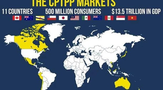 Vietnam’s exports to CPTPP countries up 38.7% in January- August period