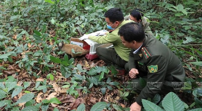 President calls for joint efforts to preserve and uphold the values of Cuc Phuong National Park