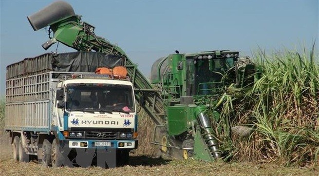 Anti-dumping investigation into cane sugar extended
