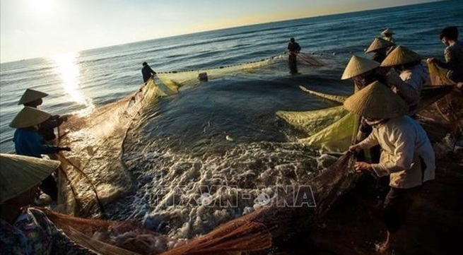 Vietnam to develop sustainable, responsible fishery