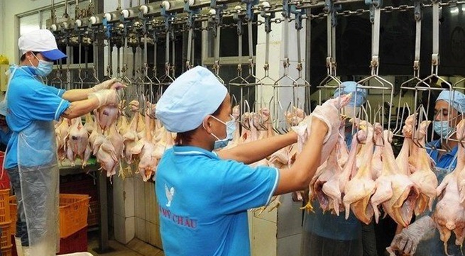 Vietnam earns nearly 1 billion USD from exporting animals, animal products