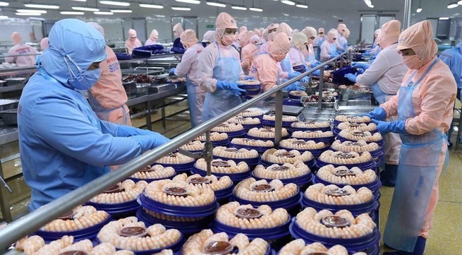 Seafood export value expected to reach 7.8 billion USD per year