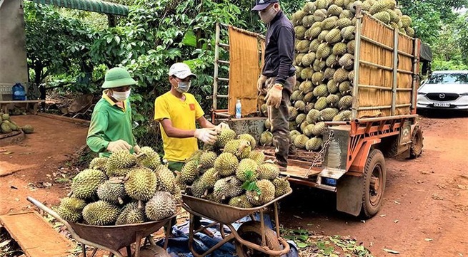 Minister calls for sustainable cultivation of durian and passion fruit