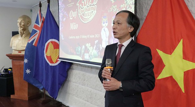 Overseas Vietnamese gather in Tet celebrations