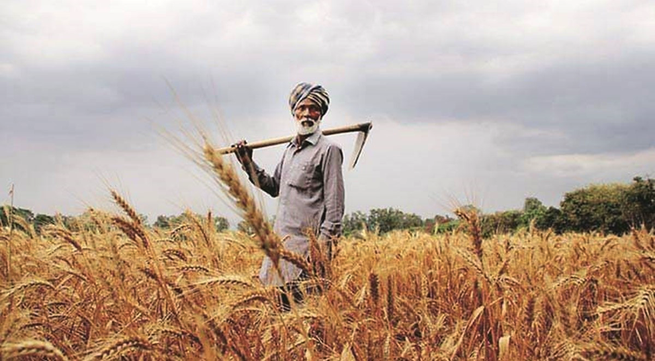 Vietnam, Indian agricultural production estimated at record high