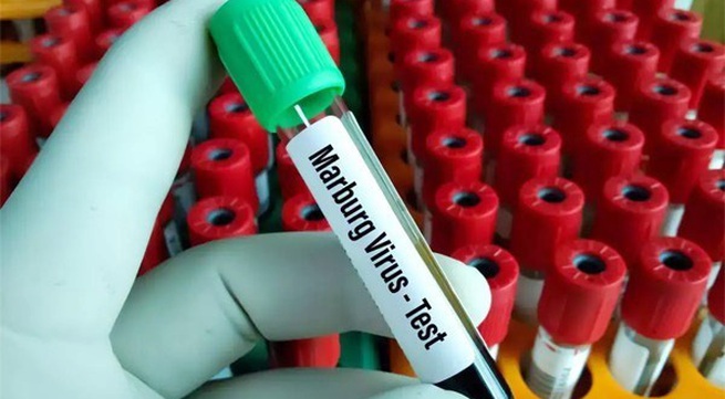 Ministry urges prevention of Marburg virus from entering Vietnam