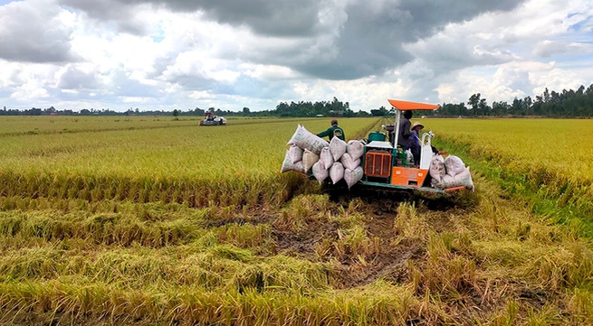 New opportunity for the rice industry to make a breakthrough