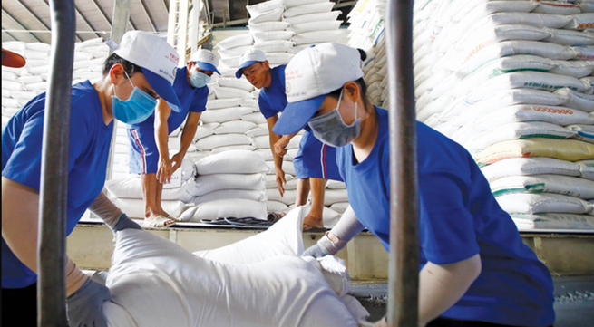 Vietnam sets new record in rice exports