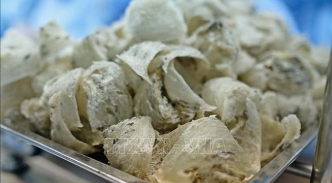 Vietnam to export first batch of bird's nests to China this month