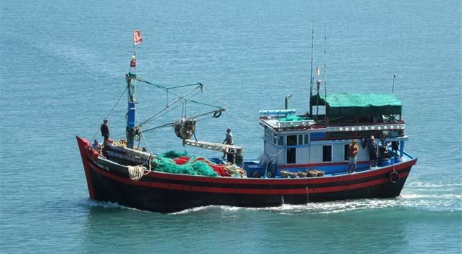 Quang Tri tightens fishing vessel monitoring to fight IUU fishing