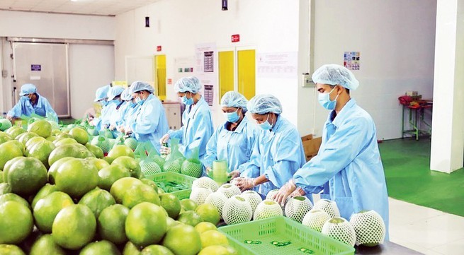 Boosting Vietnamese agricultural exports to Europe
