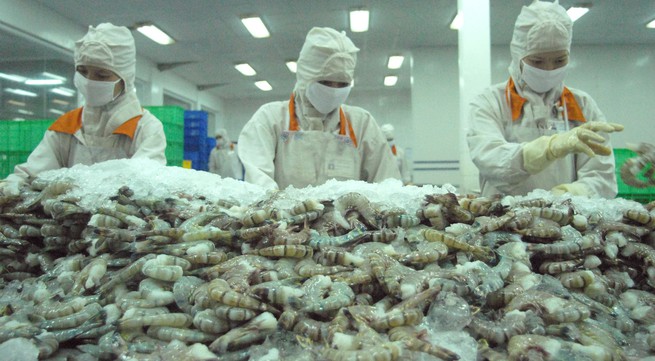 Shrimp exports to multiple markets to increase at year-end