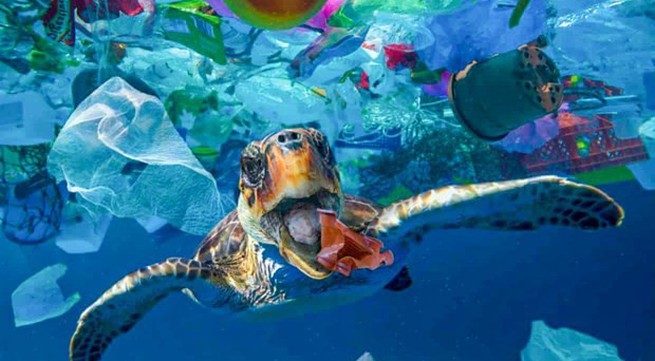 Vietnam, Japan cooperate in ocean waste management