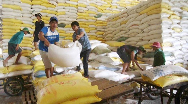 Supporting farmers and businesses in the face of fluctuations in the rice market
