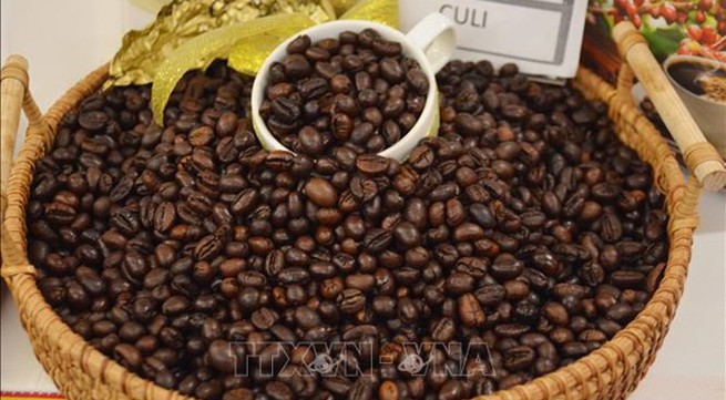 Vietnam’s coffee export value doubles in January