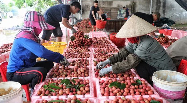 Efforts to increase market share of agricultural exports to China