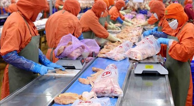 Vietnam's agricultural exports to China expected to rise