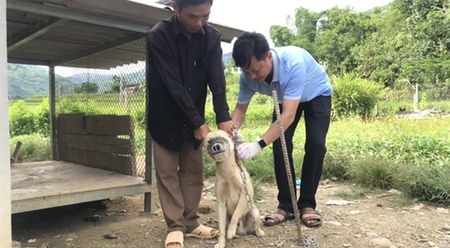 PM requests strict rabies prevention and control