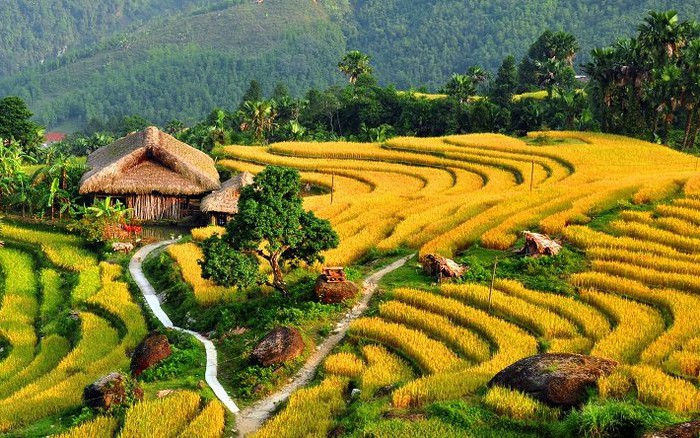 50 Bức ảnh về cảnh đẹp Việt Nam khiến bạn kinh ngạc