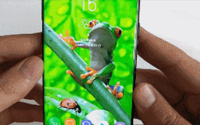 Tải 3D Wild Animals ứng dụng hình nền động vật cho Android taimienph