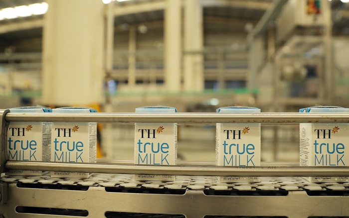 DOC Chiến lược marketing của th true milk  hường đỗ  Academiaedu