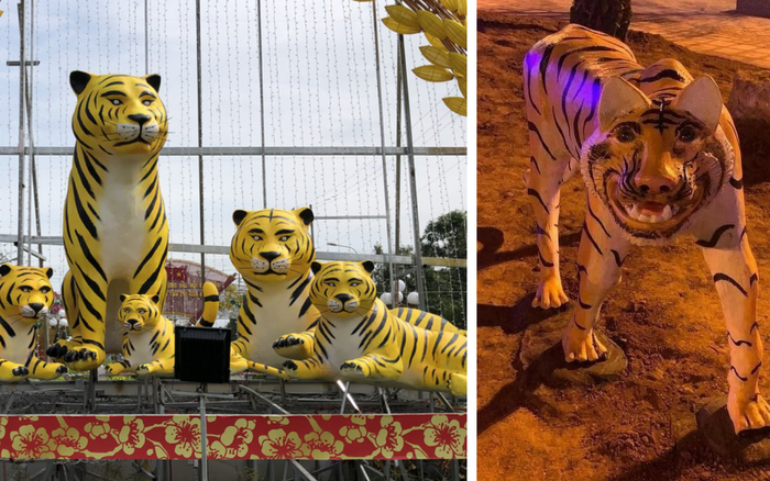 Chia sẻ 108 hình nền tết con hổ hay nhất  thdonghoadian