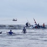 Quảng Bình: Hỗ trợ ngư dân gặp tai nạn trên biển