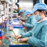 [INFOGRAPHIC] Sự phát triển doanh nghiệp Việt Nam giai đoạn 2016-2022