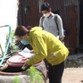 Số ca sốt xuất huyết tại Đắk Nông cao gấp gần 12 lần năm ngoái